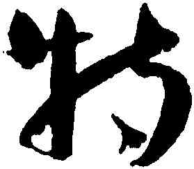 特,王寵,書法字典
